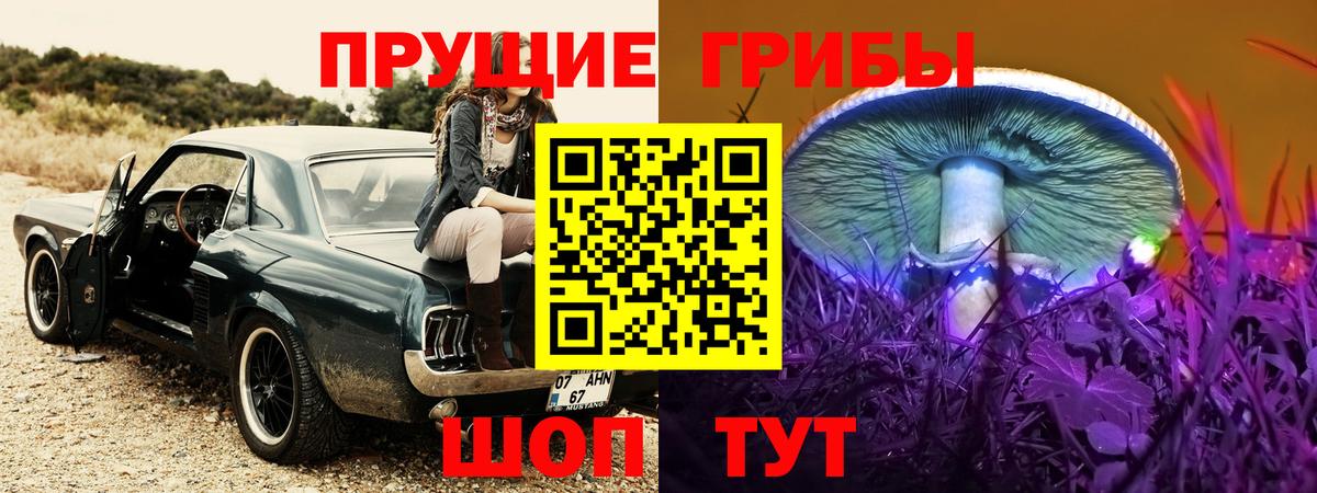 Галлюциногенные грибы Cubensis  Вход с VPN  Усть-Джегута 